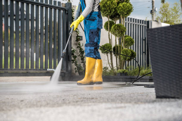 Best Gutter Cleaning  in Fullerton, PA